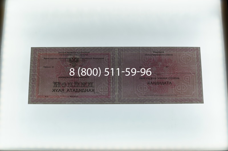 Заказать Диплом кандидата наук 2010 в Энгельсе