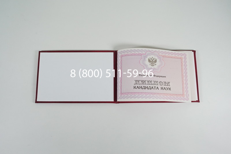 Заказать Диплом кандидата наук 2010 в Энгельсе